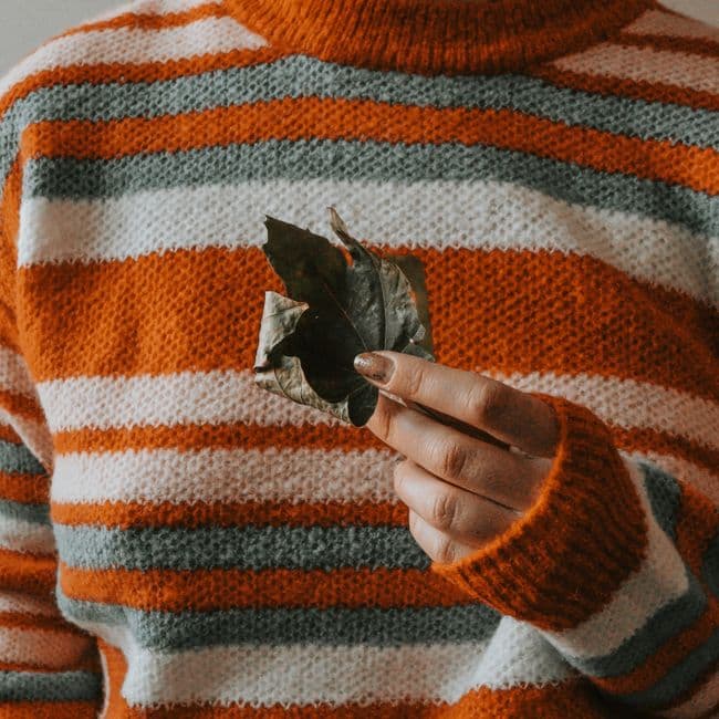 Pull en laine mérinos